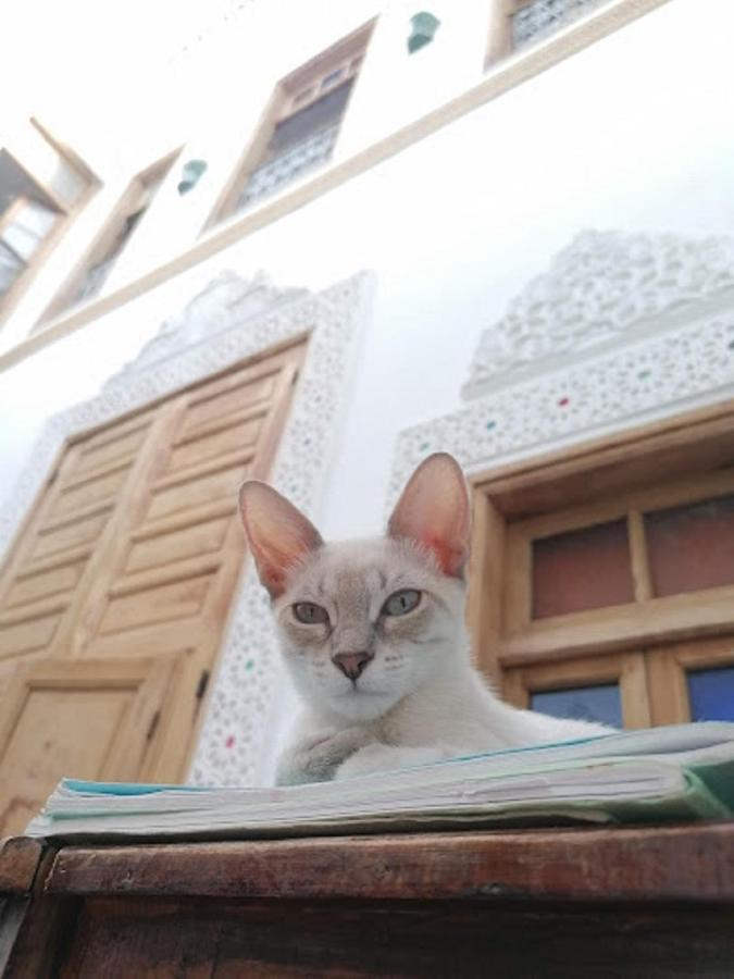 Sendis Dar Hostel Fez Buitenkant foto